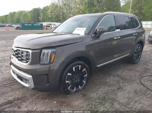 5XYP5DGC2RG461683 2024 KIA TELLURIDE - Image 2