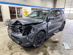 5XYP5DGC2RG468567 2024 KIA TELLURIDE