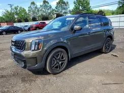 5XYP5DGC2RG471548 2024 KIA TELLURIDE