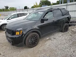 5XYP5DGC2RG475356 2024 KIA TELLURIDE