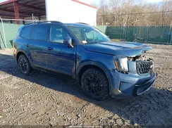 5XYP5DGC2RG476538 2024 KIA TELLURIDE