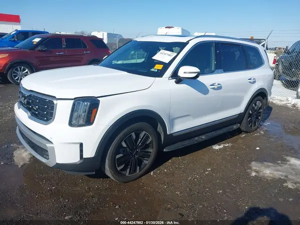 5XYP5DGC2RG476734 2024 KIA TELLURIDE - Image 2