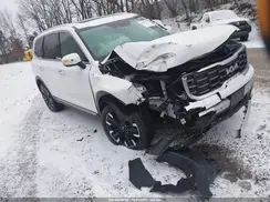 5XYP5DGC2RG501857 2024 KIA TELLURIDE