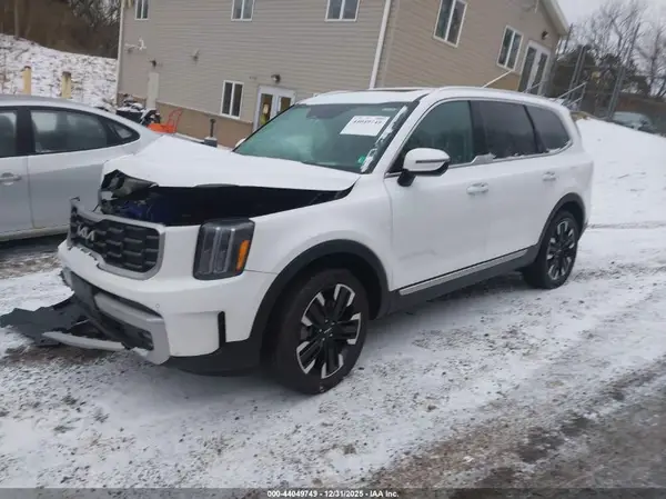 5XYP5DGC2RG501857 2024 KIA TELLURIDE - Image 2