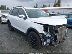 5XYP5DGC2RG502829 2024 KIA TELLURIDE