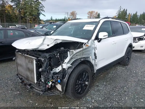 5XYP5DGC2RG502829 2024 KIA TELLURIDE - Image 2