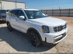 5XYP5DGC2RG505519 2024 KIA TELLURIDE