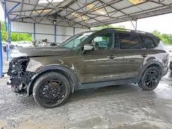5XYP5DGC2RG519601 2024 KIA TELLURIDE