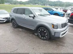 5XYP5DGC2RG520392 2024 KIA TELLURIDE