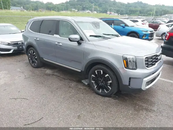 5XYP5DGC2RG520392 2024 KIA TELLURIDE - Image 1