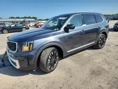 5XYP5DGC2RG524586 2024 KIA TELLURIDE