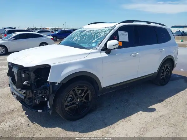 5XYP5DGC2RG533689 2024 KIA TELLURIDE - Image 2
