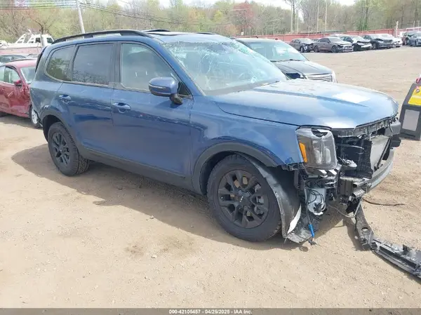5XYP5DGC2RG534888 2024 KIA TELLURIDE - Image 1