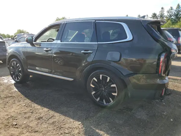 5XYP5DGC2RG536902 2024 KIA TELLURIDE - Image 2