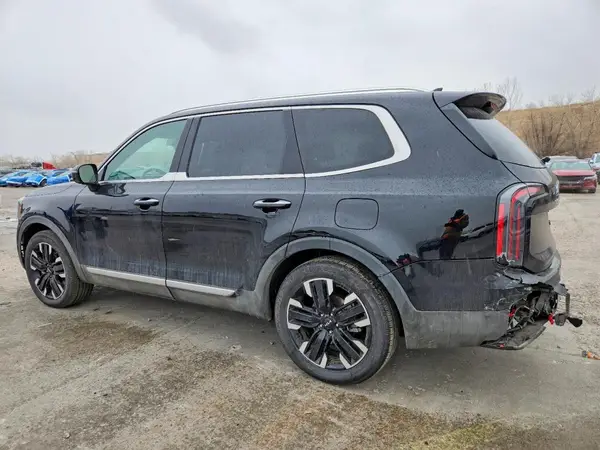 5XYP5DGC2RG542036 2024 KIA TELLURIDE - Image 2