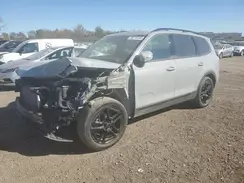 5XYP5DGC2RG543462 2024 KIA TELLURIDE