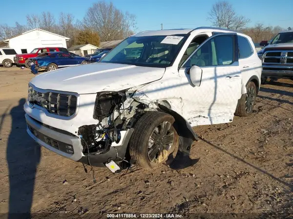 5XYP5DGC2RG544613 2024 KIA TELLURIDE - Image 2