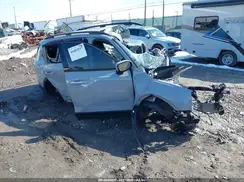 5XYP5DGC2RG556454 2024 KIA TELLURIDE