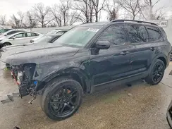 5XYP5DGC2RG557684 2024 KIA TELLURIDE