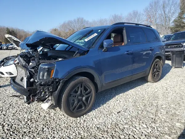 5XYP5DGC2RG563677 2024 KIA TELLURIDE - Image 1