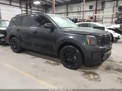 5XYP5DGC2SG607313 2025 KIA TELLURIDE