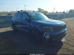 5XYP5DGC2SG610244 2025 KIA TELLURIDE