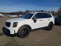 5XYP5DGC2SG618862 2025 KIA TELLURIDE