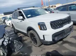 5XYP5DGC2SG679709 2025 KIA TELLURIDE