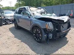 5XYP5DGC3PG330081 2023 KIA TELLURIDE