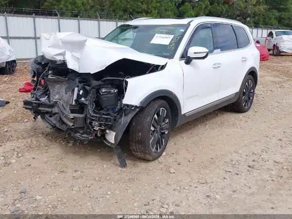 5XYP5DGC3PG349309 2023 KIA TELLURIDE - Image 2