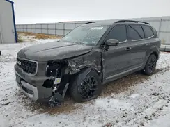 5XYP5DGC3PG354591 2023 KIA TELLURIDE