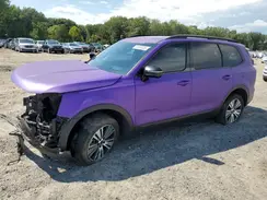 5XYP5DGC3PG363808 2023 KIA TELLURIDE