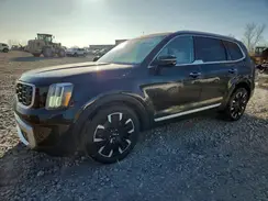 5XYP5DGC3PG374517 2023 KIA TELLURIDE