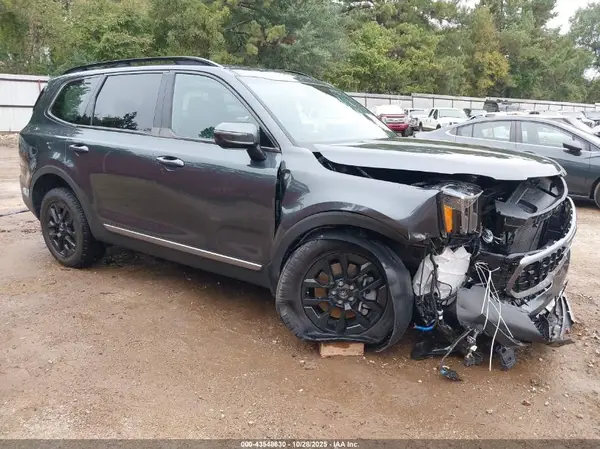 5XYP5DGC3PG387235 2023 KIA TELLURIDE - Image 1