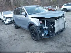 5XYP5DGC3PG388532 2023 KIA TELLURIDE