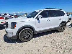 5XYP5DGC3PG393844 2023 KIA TELLURIDE