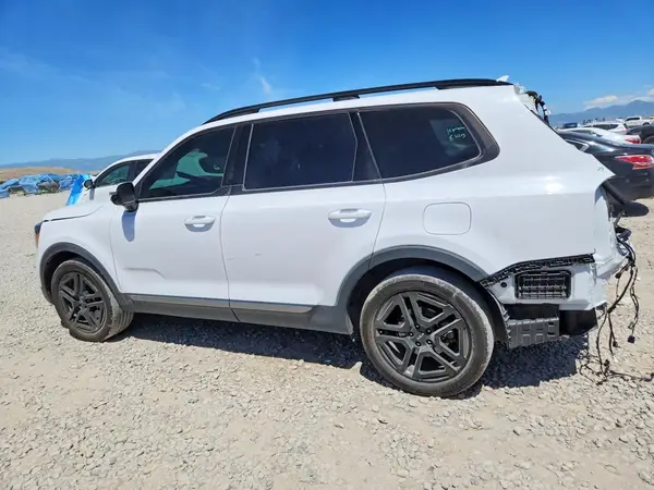 5XYP5DGC3PG393844 2023 KIA TELLURIDE - Image 2