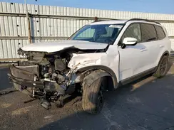 5XYP5DGC3PG404115 2023 KIA TELLURIDE