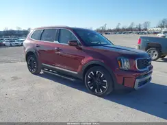 5XYP5DGC3PG411954 2023 KIA TELLURIDE