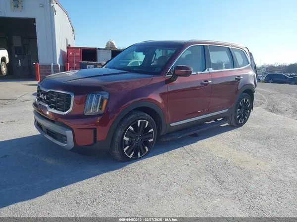 5XYP5DGC3PG411954 2023 KIA TELLURIDE - Image 2