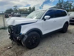 5XYP5DGC3RG417630 2024 KIA TELLURIDE