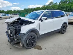 5XYP5DGC3RG436016 2024 KIA TELLURIDE