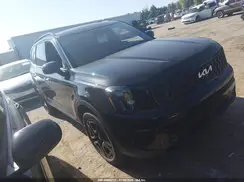 5XYP5DGC3RG436663 2024 KIA TELLURIDE