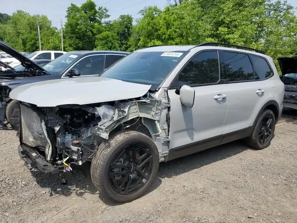 5XYP5DGC3RG440826 2024 KIA TELLURIDE - Image 1