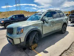 5XYP5DGC3RG450188 2024 KIA TELLURIDE