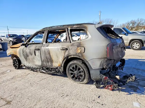 5XYP5DGC3RG461319 2024 KIA TELLURIDE - Image 2