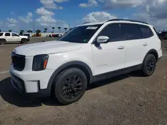 5XYP5DGC3RG468867 2024 KIA TELLURIDE