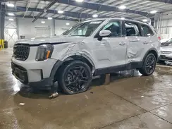 5XYP5DGC3RG471137 2024 KIA TELLURIDE