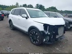 5XYP5DGC3RG481506 2024 KIA TELLURIDE