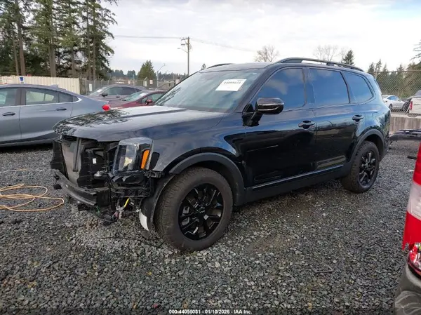 5XYP5DGC3RG481845 2024 KIA TELLURIDE - Image 2